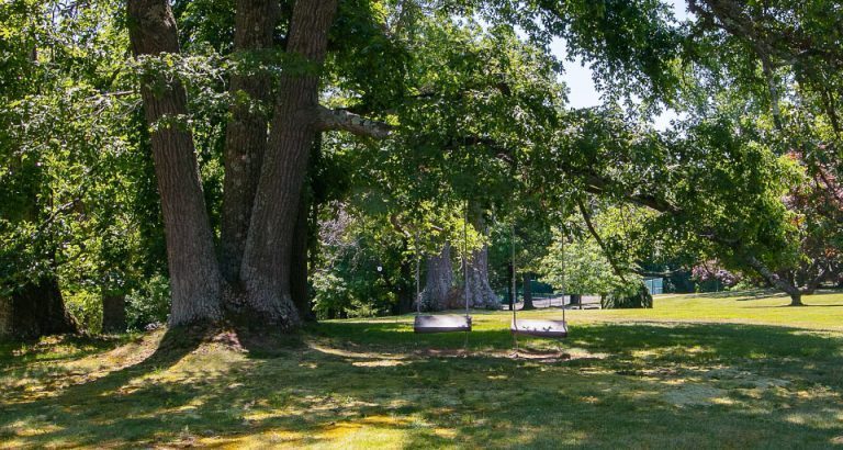 garden--redbird-resort-welness-7